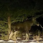 Casa de hóspedes Mazurski Kat -